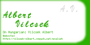 albert vilcsek business card